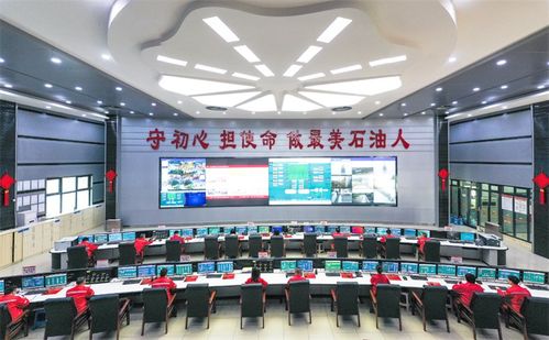服务川渝一亿人 全国实际处理量最大净化厂安全投产十周年